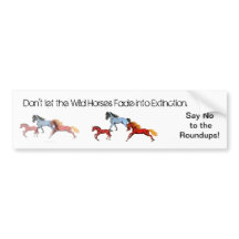 Fading Wild Horses Bumpersticker