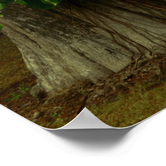 Faerie Light Poster (Hoek)