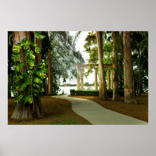 Faerie Light Poster (Voorkant)