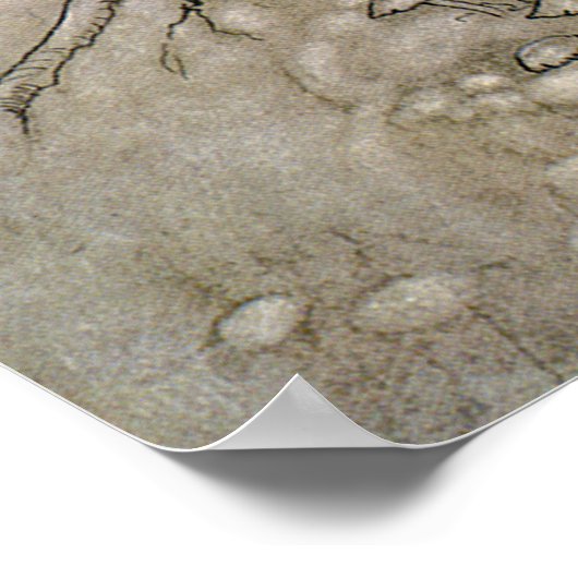 Faery, MidSummer Night's Dream, Rackham 16 W x 24  Poster (Hoek)