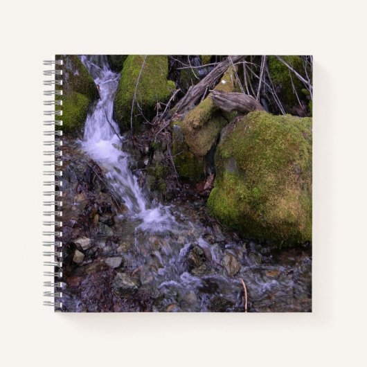 Fae's waterval..... notitieboek (Voorkant)