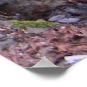 Fae's waterval..... poster (Hoek)