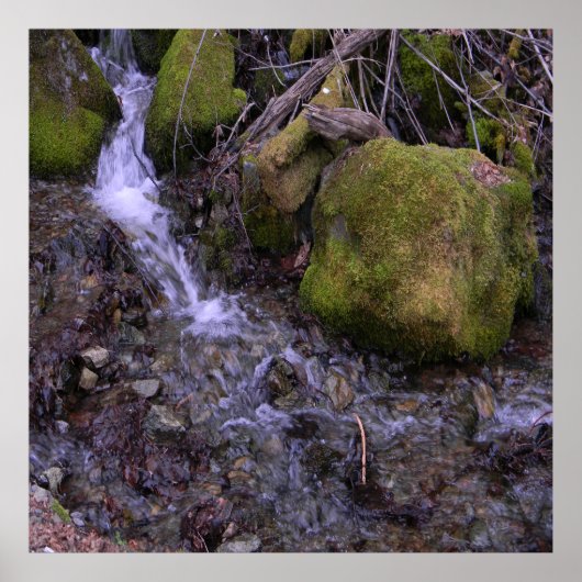 Fae's waterval..... poster (Voorkant)