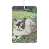 'Fail Fast and Learn' Tekst en foto, Motivatie Luchtverfrisser (Achterkant)