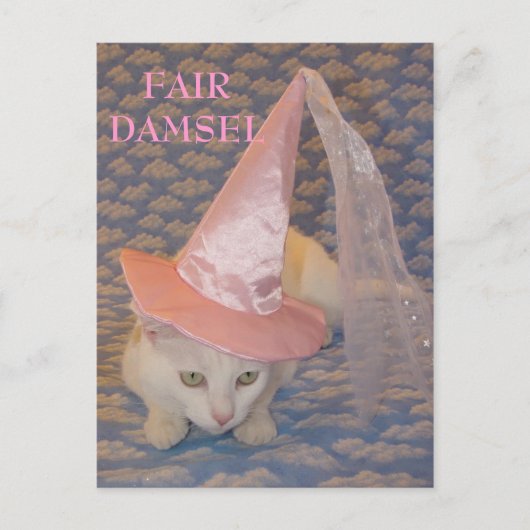 FAIR DAMSEL MISSY BRIEFKAART (Voorkant)