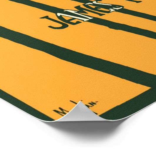 Fair Hawaii  — Hoesje muziek Poster (Hoek)