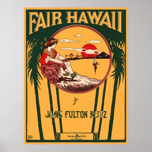 Fair Hawaii Poster (Voorkant)