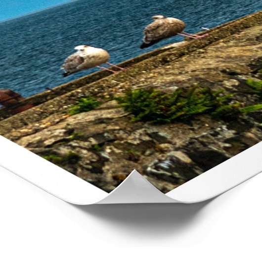 Fair Head Northern Ireland Wall Art Photography Poster (Hoek)