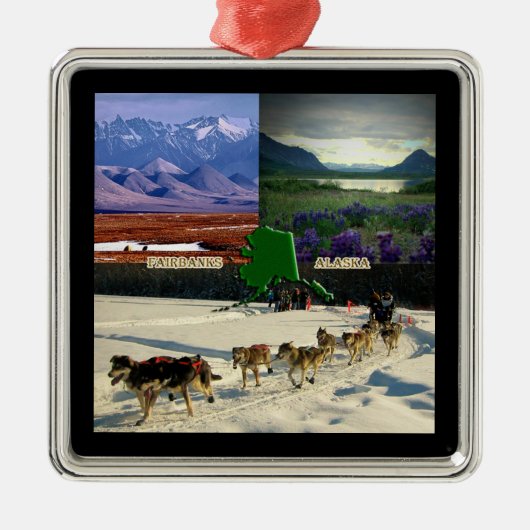 Fairbanks, Alaska Collage Metalen Ornament (Voorkant)
