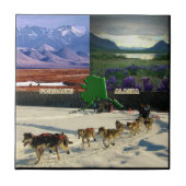 Fairbanks, Alaska Collage Tegeltje (Voorkant)