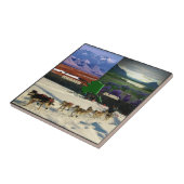 Fairbanks, Alaska Collage Tegeltje (Zijkant)