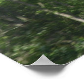 Fairchild PT-19 Cornell. Poster (Hoek)