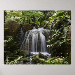 Fairchild Tropical Botanic Garden is een 33 ha (83 Poster