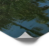 Fairchild Tropical Botanic Garden Poster (Hoek)