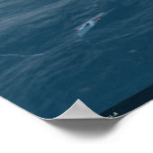 Fairey Szwaardfish - Roze de Bismarck Poster (Hoek)