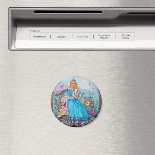 Fairfarren Magneet (Insitu (Vaatwasser))