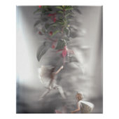 Fairies 3 perfect poster (Voorkant)