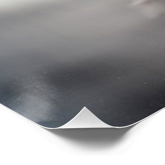 Fairies 3 perfect poster (Hoek)