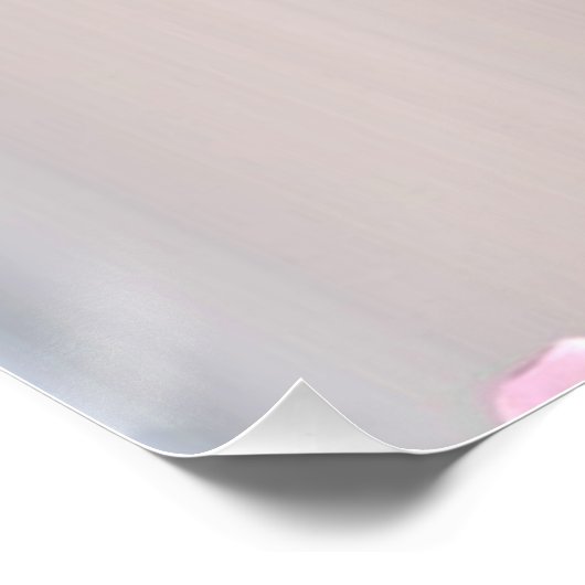 Fairies 5 perfect poster (Hoek)