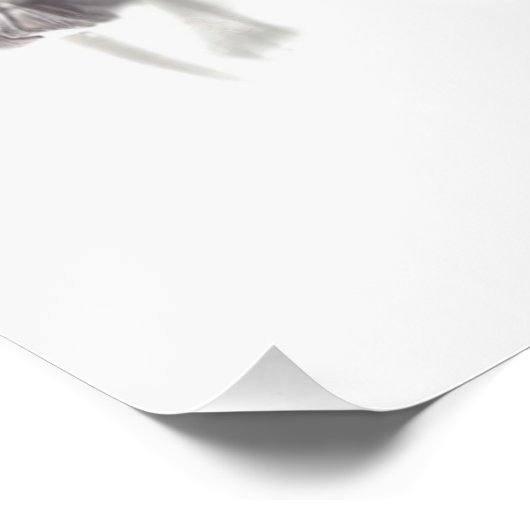 Fairies 6 perfect poster (Hoek)