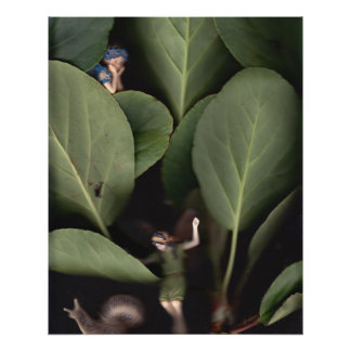 Fairies 7 perfect poster