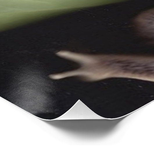 Fairies 7 perfect poster (Hoek)