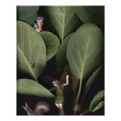 Fairies 7 perfect poster (Voorkant)