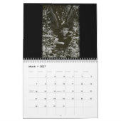 Fairies, agenda 2013 kalender (Mar 2027)