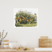 Fairies die met Robin Print spelen door Richard Do (Keuken)