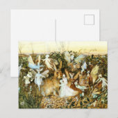 Fairies en konijn briefkaart (Voorkant / Achterkant)