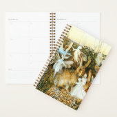 Fairies en konijn planner (Display)