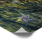 Fairies en konijn poster (Hoek)