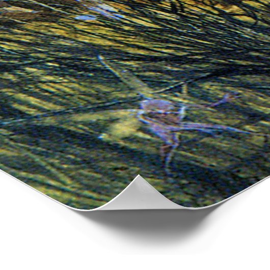 Fairies en konijn poster (Hoek)