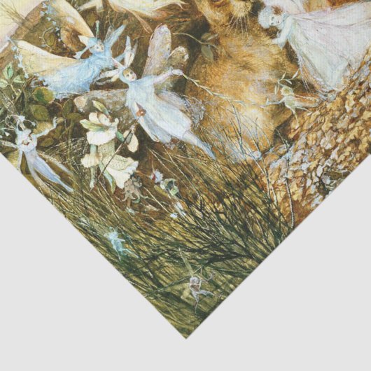 Fairies en konijn tissuepapier (Detail)