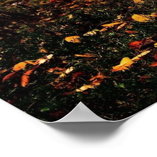 Fairies en Unicorns Poster (Hoek)