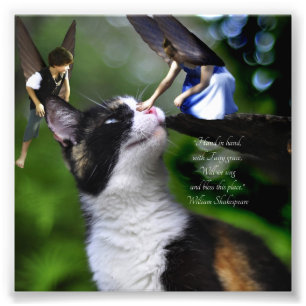Fairies met Cat William Shakespeare Quote Print Foto Afdruk