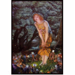 Fairies op een midzomernacht in meisjesdroom fotobeeldje ornament<br><div class="desc">De bosbodem neuriede met een ongeziene energie. Maanlicht, gespannen door knoestige takken, dapperde de vochtige aarde in een mozaïek van licht en schaduw. In deze stille kathedraal stond Elara, haar gouden jurk in schril contrast met de omringende duisternis. De stof glinsterde met een buitenaardse glans en ving de speelse dans...</div>