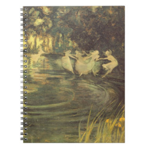 Fairies Whirl van Arthur Black,  Fairy Dance Notitieboek