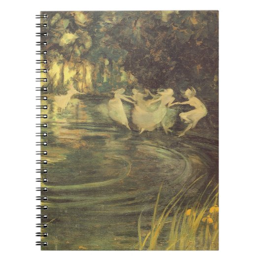 Fairies Whirl van Arthur Black,  Fairy Dance Notitieboek (Voorkant)