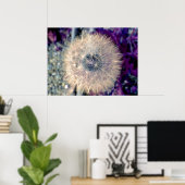 Fairy Ball Poster (Thuiskantoor)