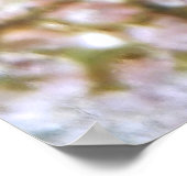 Fairy Basslet Poster (Hoek)