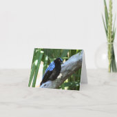 Fairy Bluebird Foto Folded Note Kaart (Voorkant)