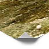 Fairy Butterfly Poster (Hoek)