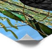 Fairy Butterfly Poster (Hoek)