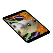 Fairy Cat Premium Magnet Magneet (Rechterzijde)