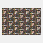 Fairy Cats Boeken Bibliotheek Fantasie Inpakpapier Vel (Voorkant)