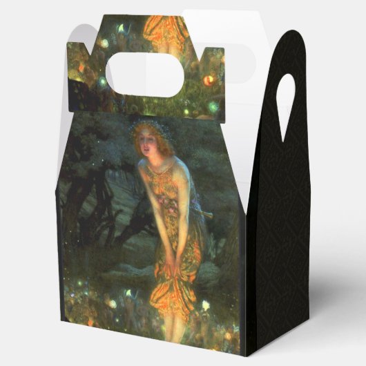 Fairy Circle Fairies Midzomer Eve Bedankdoosjes (Geopend)