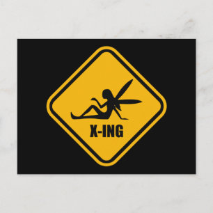 Fairy Crossing Street Sign Briefkaart