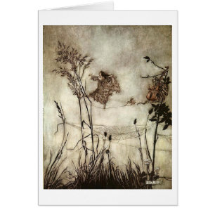  - Fairy Dances op een spinweb,