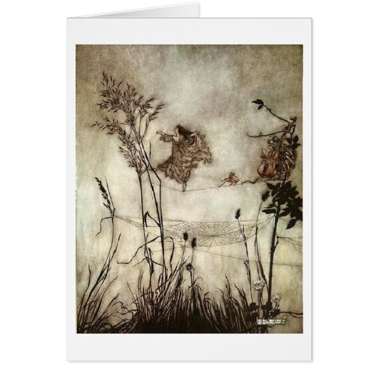 - Fairy Dances op een spinweb, (Voorkant)